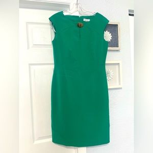 NWOT Woman Dress